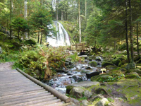 Une balade proche de la Cascade de la Pissoire à 3 km