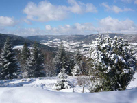 Une vue du site